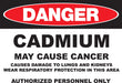 ZING DANGER, 10x14", Cadmium, Adhesive